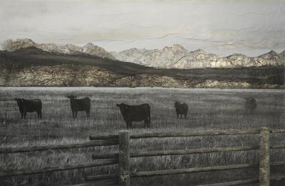 Bill Claps Cattle in the Sawtooth Valley