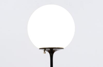 Bill Curry Bill Curry Stemlite Black Tulip Table Lamp for Design Line