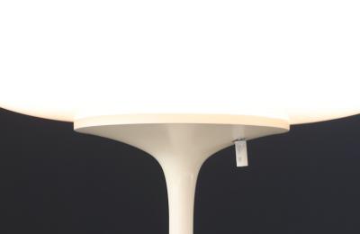 Bill Curry Bill Curry Stemlite Tulip Lamp for Design Line