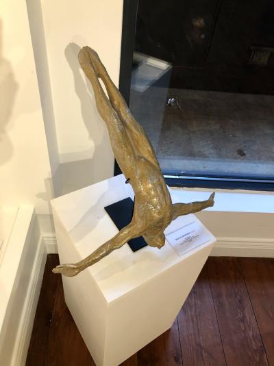 Bill Starke In my dreams I can fly