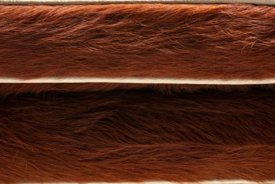 Billy Baldwin Pair of Billy Baldwin Style X Stools in Cinnamon Cowhides Ivory Leather c 1970