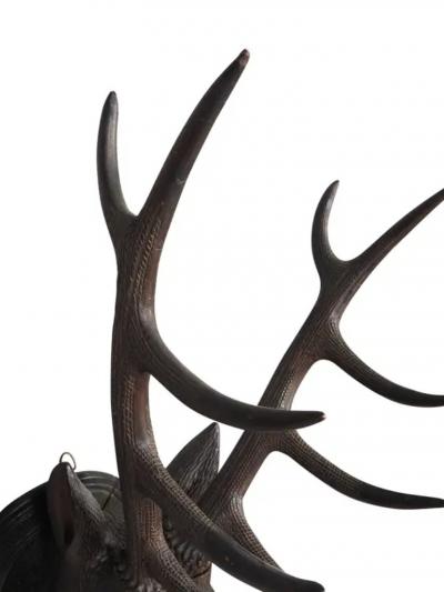 Black Forest Carved Walnut Deer Head Trophy Mount