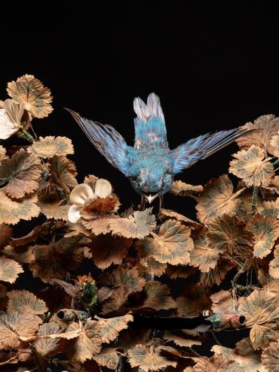 Blaise Bontems Musical Automaton Singing birds and Clock under glass dome