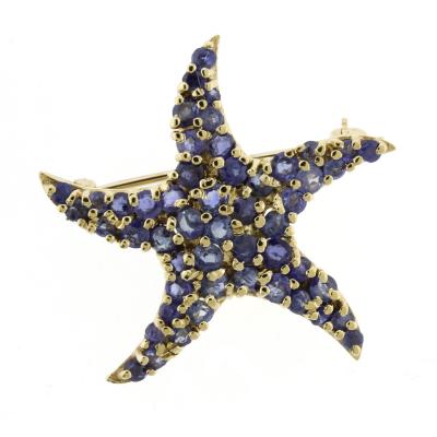 Blue Sapphire Starfish Brooch