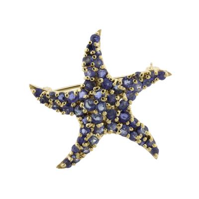 Blue Sapphire Starfish Brooch