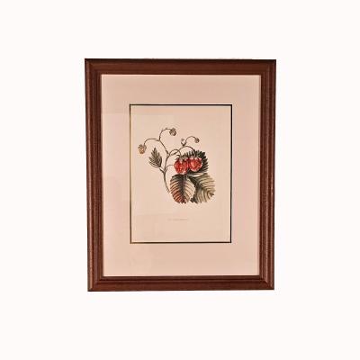 Botanical Study of Fruits and Nuts by Duhamel du Monceau early 19th century