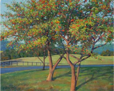 Bradley Stevens September Crab Apples