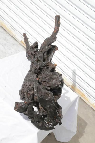 Brass Tree Stomp Base