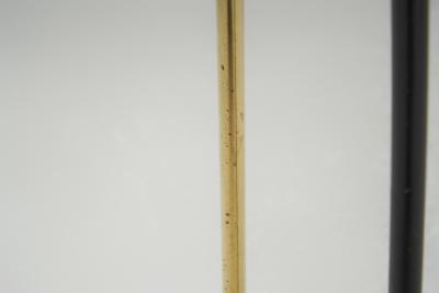 Brass and Black Lacquered Metal Floor Lamp Denmark 1950s