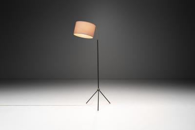 Brass and Black Steel Floor Lamp with Tripod Base France 1950s