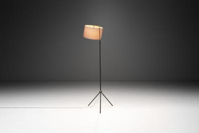 Brass and Black Steel Floor Lamp with Tripod Base France 1950s