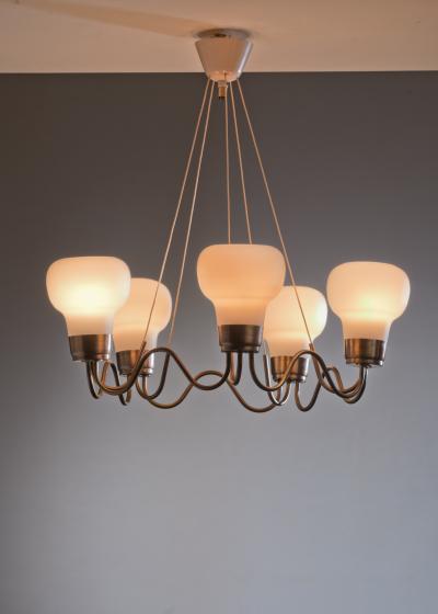 Brass chandelier with 5 glass shades