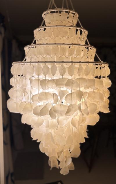 Brazilian Camorupim Scale Chandelier