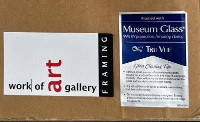 Brazilian Kayap Tribe Indigenous Feather Headdress Cocar from the Amazon