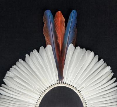 Brazilian Kayap Tribe Indigenous Feather Headdress Cocar from the Amazon