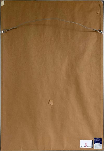 Brazilian Kayap Tribe Indigenous Feather Headdress Cocar from the Amazon