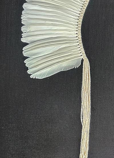 Brazilian Kayap Tribe Indigenous Feather Headdress Cocar from the Amazon
