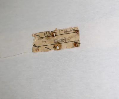 Brazilian Mid Century Pink Sofa Bed by Catalina S A c 1960s