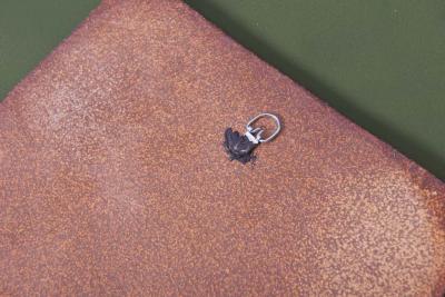 Brent Bennett Flower 1 Plaque by Brent J Bennett US 2019