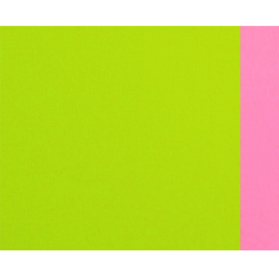 Brent Hallard Rope Green and Pink Abstract painting 2011