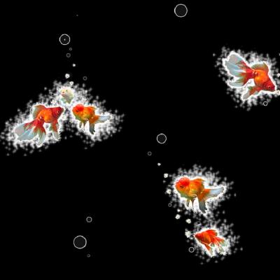 Brett Design GOLDFISH BLOWN UP