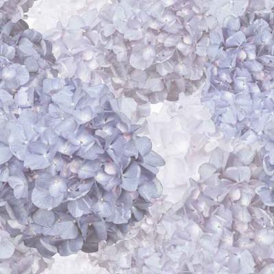 Brett Design HYDRANGEA