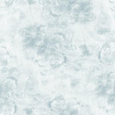 Brett Design LUCID CLOUDS