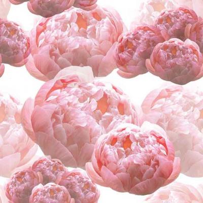 Brett Design PEONIES
