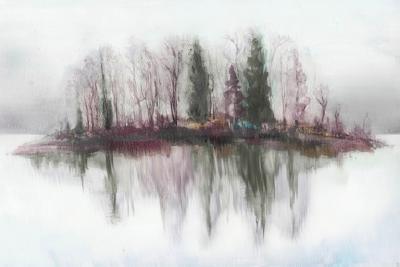 Brett Design Reflection Winter Island Mural Wallpaper Scaled Mural 