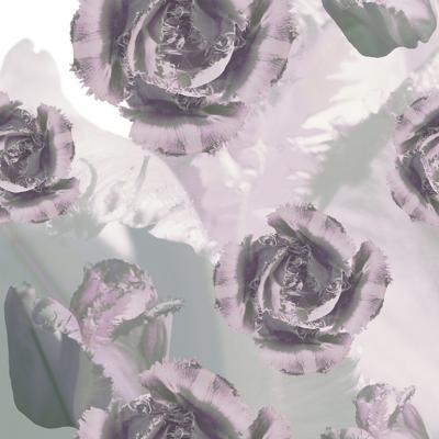 Brett Design TIGER CLOUD TULIP