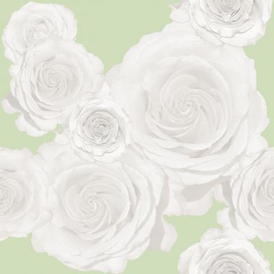 Brett Design WHITE ROSES