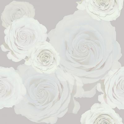 Brett Design WHITE ROSES