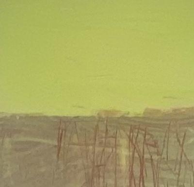 Brian Story THE FIELD 12X12 