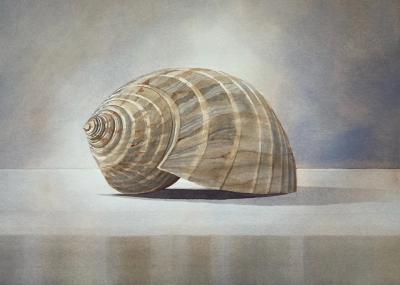Bruce Buchanan Shell