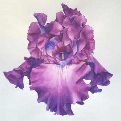 Bryan McCullough Exhibition of Deformities