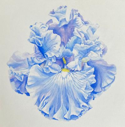 Bryan McCullough Iris 3