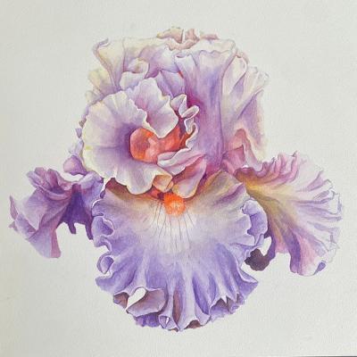Bryan McCullough Iris 5