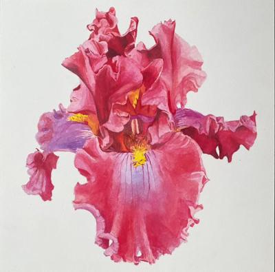 Bryan McCullough Iris 6