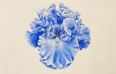 Bryan McCullough Iris 7