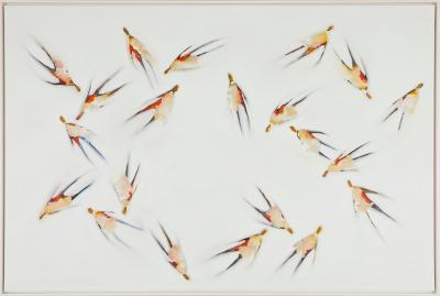 Brynhildur Gudmundsdottir Brynhildur Gudmundsdottir b 1969 Iceland Untitled 2017