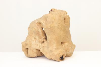 Burl Wood Art Sculpture Figurine