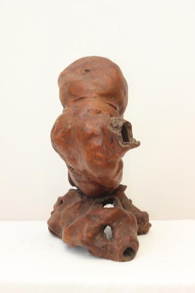 Burl Wood Art Sculpture Figurine