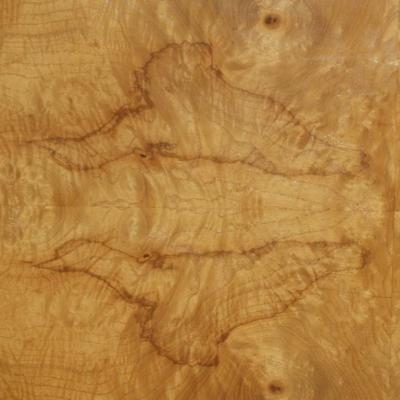 Burled Olivewood Night Stand