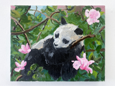CHARLES HASCO T Panda with Magnolias 2023