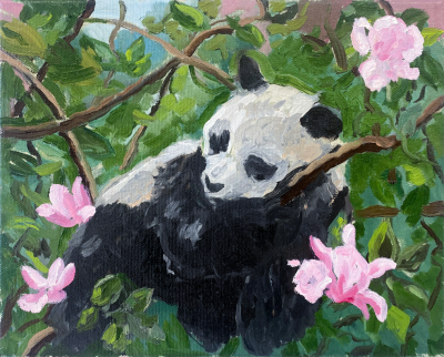 CHARLES HASCO T Panda with Magnolias 2023