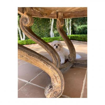 CIRCA 1780 LOUIS XVI TABLE