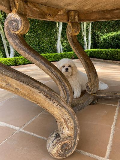 CIRCA 1780 LOUIS XVI TABLE