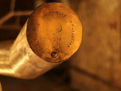 CP Lighting Christopher Poehlmann 9 newGROWTH Chandelier