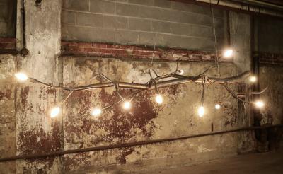 CP Lighting Christopher Poehlmann 9 newGROWTH Chandelier