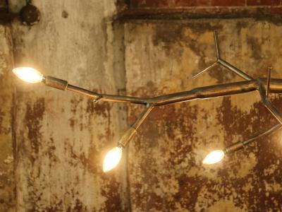 CP Lighting Christopher Poehlmann 9 newGROWTH Chandelier